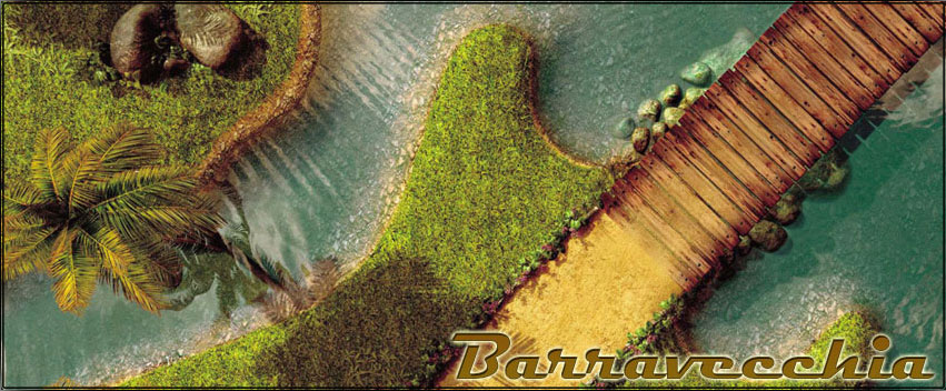 Barravecchia Luthier